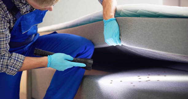 Best Local Pest Control Services  in Roslyn, PA