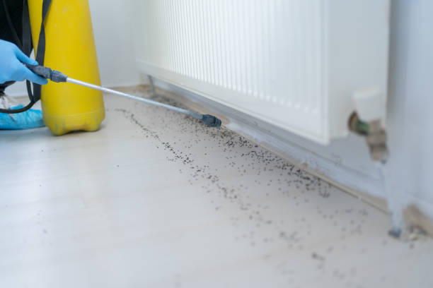 Best Exterminator Services  in Roslyn, PA
